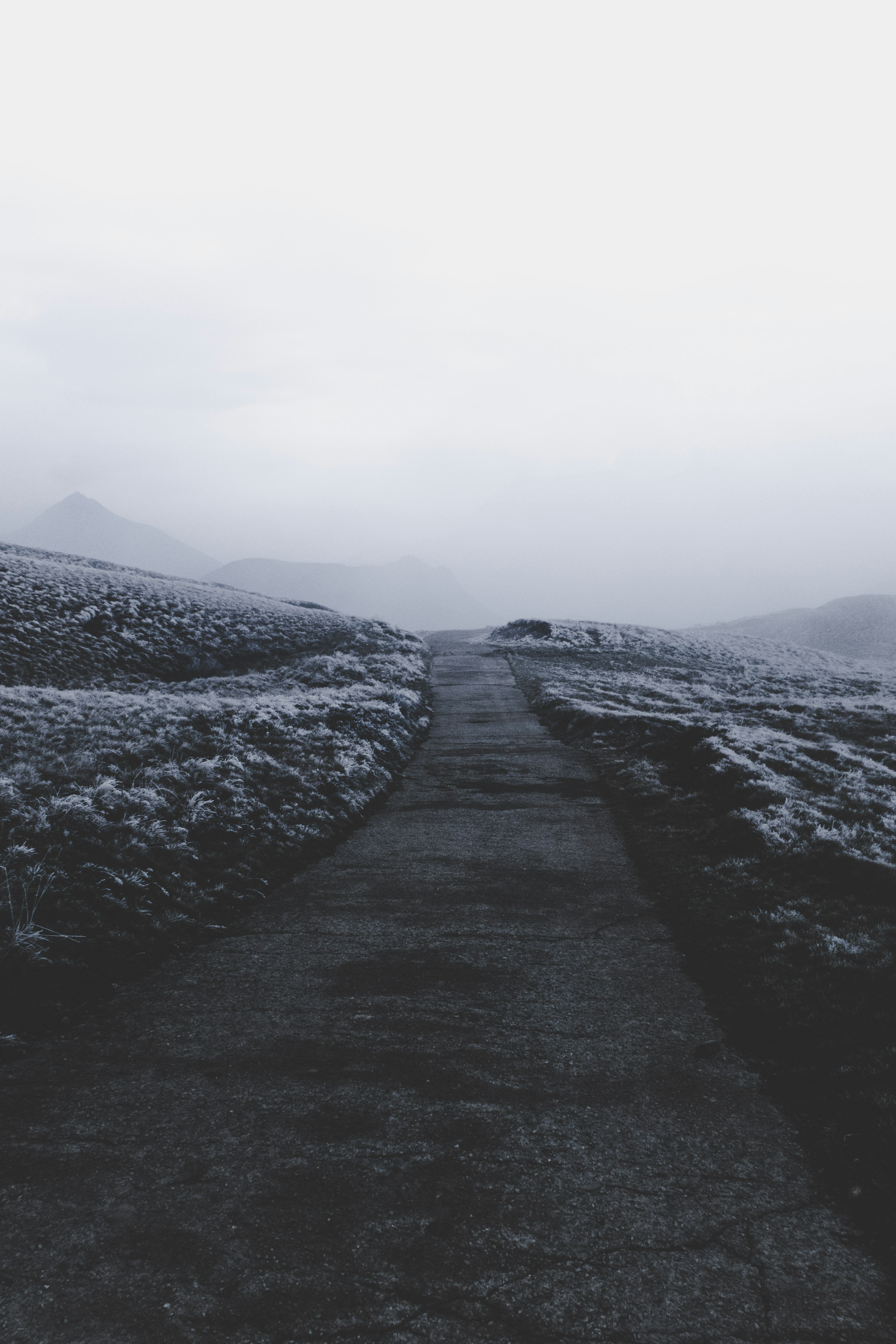 empty pathway during foggy weather